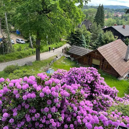 Wiktoria Apartament